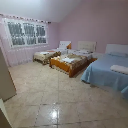 Bardhi For Rent View Shijak