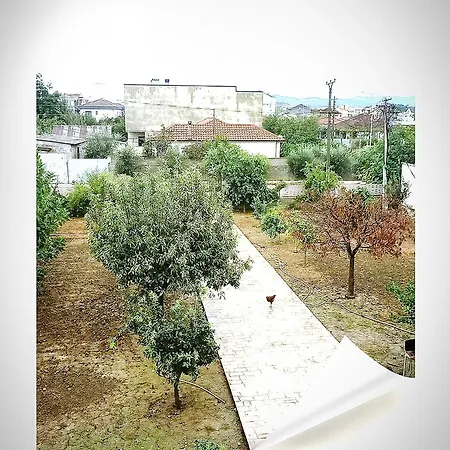 Bardhi For Rent View Shijak
