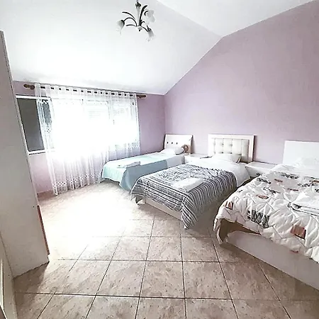Bardhi For Rent View Villa