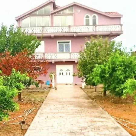 Bardhi For Rent View Shijak