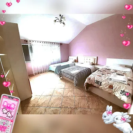 Villa Bardhi For Rent View
